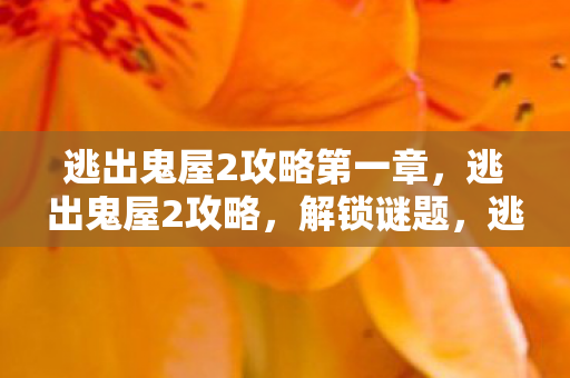 逃出鬼屋2攻略第一章，逃出鬼屋2攻略，解锁谜题，逃出恐怖之地