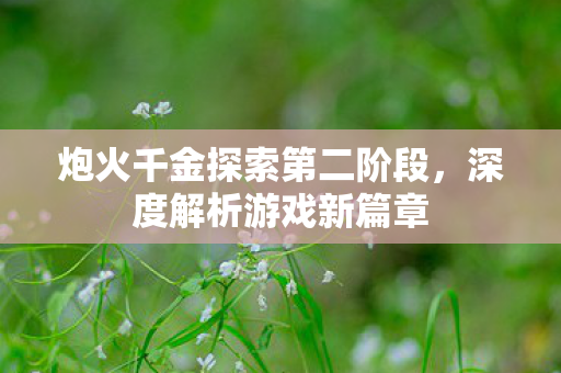 炮火千金探索第二阶段，深度解析游戏新篇章