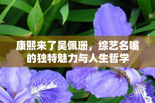 康熙来了吴佩珊，综艺名嘴的独特魅力与人生哲学