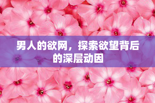 男人的欲网，探索欲望背后的深层动因
