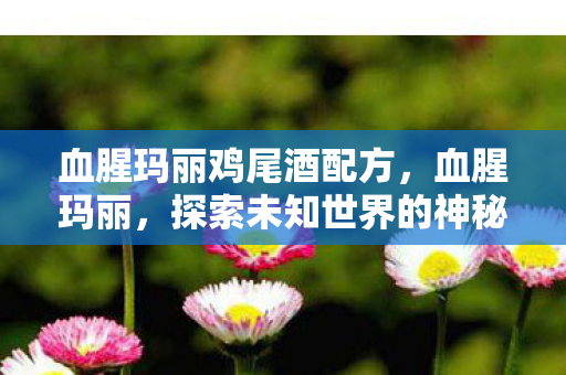 血腥玛丽鸡尾酒配方，血腥玛丽，探索未知世界的神秘之旅