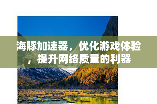 海豚加速器，优化游戏体验，提升网络质量的利器