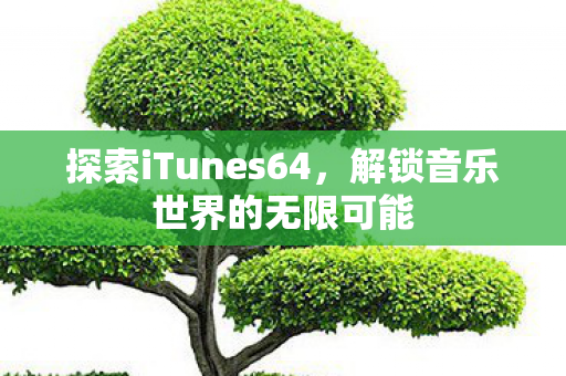 探索iTunes64，解锁音乐世界的无限可能