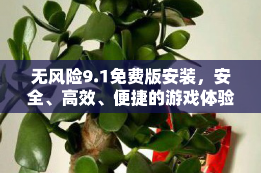 无风险9.1免费版安装，安全、高效、便捷的游戏体验