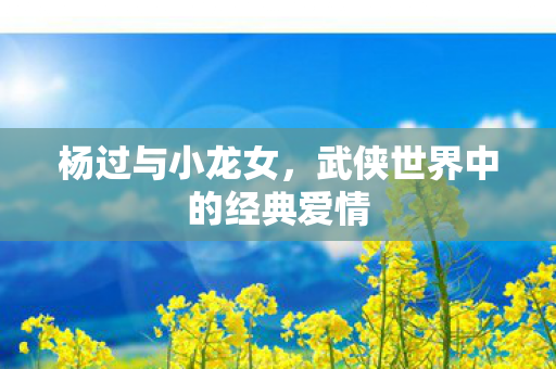 杨过与小龙女，武侠世界中的经典爱情
