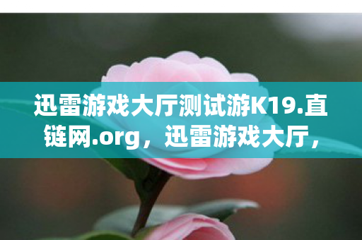 迅雷游戏大厅测试游K19.直链网.org，迅雷游戏大厅，打造你的专属游戏乐园