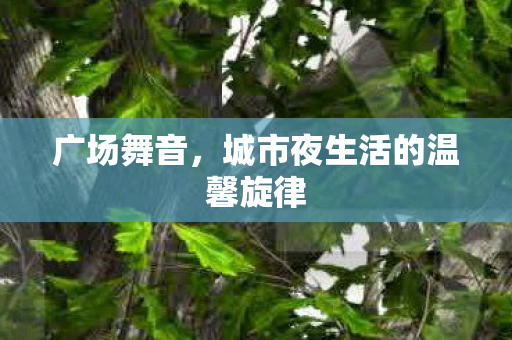 广场舞音，城市夜生活的温馨旋律