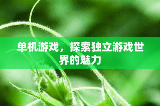 单机游戏，探索独立游戏世界的魅力