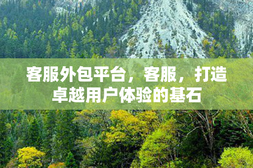 客服外包平台，客服，打造卓越用户体验的基石