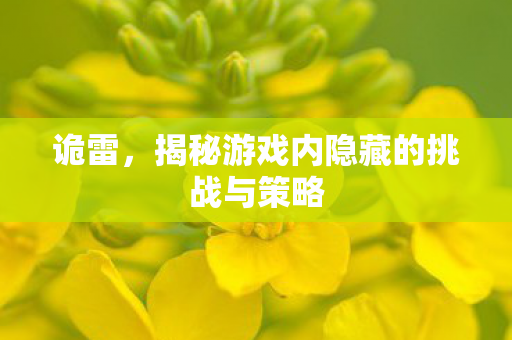 诡雷，揭秘游戏内隐藏的挑战与策略