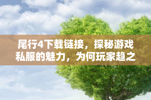 尾行4下载链接，探秘游戏私服的魅力，为何玩家趋之若鹜？