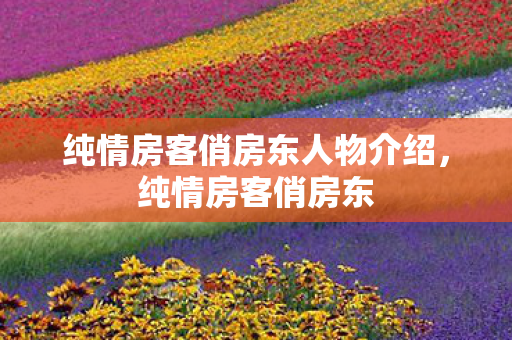 纯情房客俏房东人物介绍，纯情房客俏房东