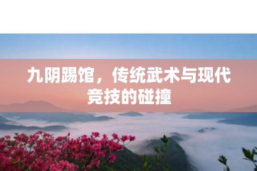 九阴踢馆，传统武术与现代竞技的碰撞