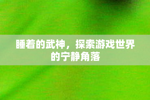 睡着的武神，探索游戏世界的宁静角落