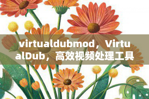 virtualdubmod，VirtualDub，高效视频处理工具