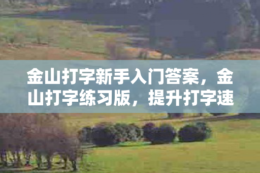 金山打字新手入门答案，金山打字练习版，提升打字速度，打造高效输入体验