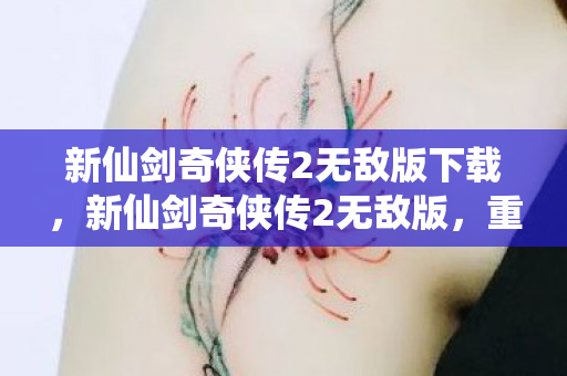 新仙剑奇侠传2无敌版下载，新仙剑奇侠传2无敌版，重温经典，畅享无限战斗