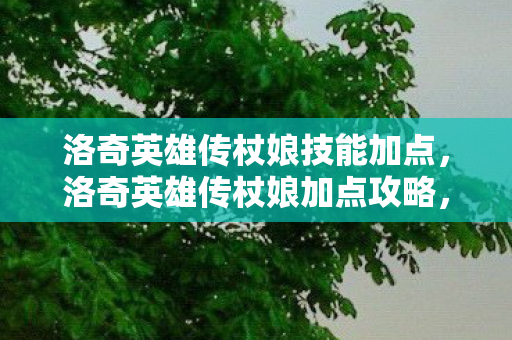 洛奇英雄传杖娘技能加点，洛奇英雄传杖娘加点攻略，打造高效战斗法师