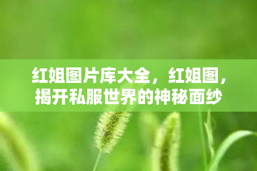 红姐图片库大全，红姐图，揭开私服世界的神秘面纱