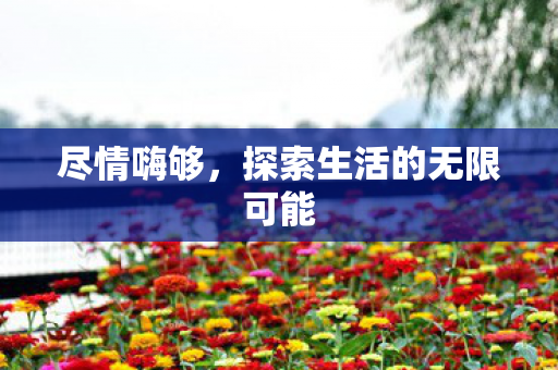 尽情嗨够，探索生活的无限可能