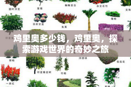 鸡里奥多少钱，鸡里奥，探索游戏世界的奇妙之旅