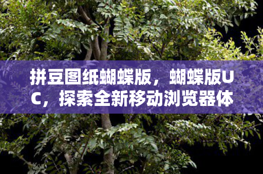 拼豆图纸蝴蝶版，蝴蝶版UC，探索全新移动浏览器体验