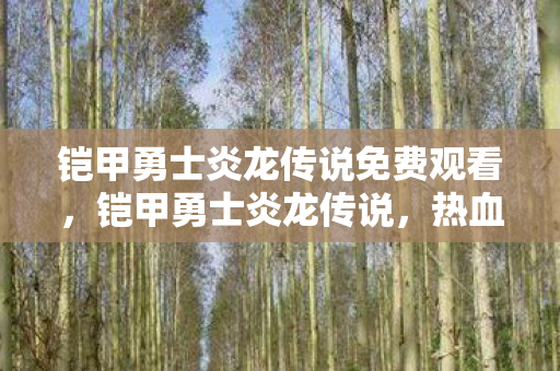 铠甲勇士炎龙传说免费观看，铠甲勇士炎龙传说，热血与荣耀的传奇之旅