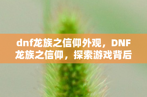 dnf龙族之信仰外观，DNF龙族之信仰，探索游戏背后的信仰与情怀