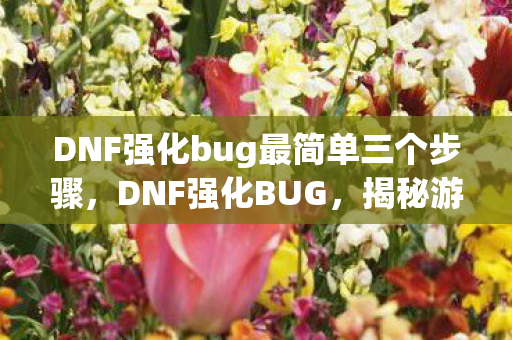 DNF强化bug最简单三个步骤，DNF强化BUG，揭秘游戏内意外与未知的风险