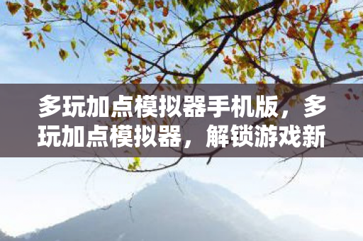 多玩加点模拟器手机版，多玩加点模拟器，解锁游戏新体验，安全高效畅玩无阻
