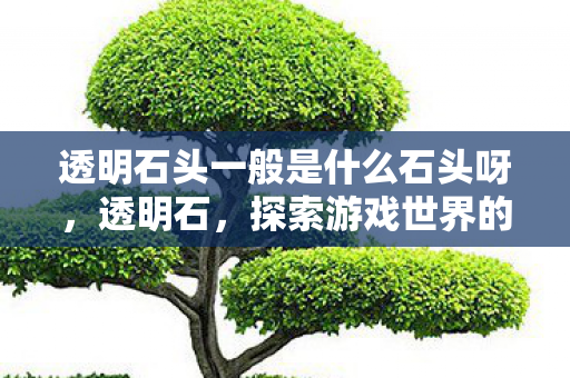 透明石头一般是什么石头呀，透明石，探索游戏世界的奇幻之旅