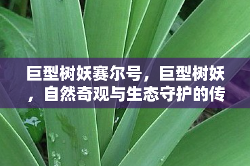 巨型树妖赛尔号，巨型树妖，自然奇观与生态守护的传奇