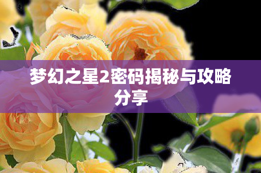 梦幻之星2密码揭秘与攻略分享