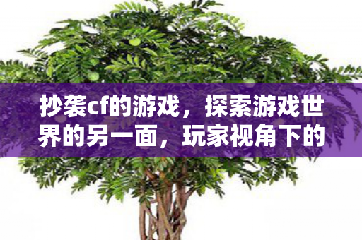 抄袭cf的游戏，探索游戏世界的另一面，玩家视角下的游戏私服体验