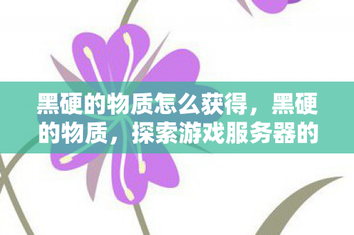 黑硬的物质怎么获得，黑硬的物质，探索游戏服务器的坚固基石