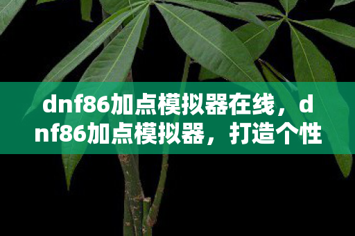 dnf86加点模拟器在线，dnf86加点模拟器，打造个性化角色，提升战斗效率