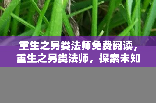 重生之另类法师免费阅读，重生之另类法师，探索未知世界的奇幻之旅