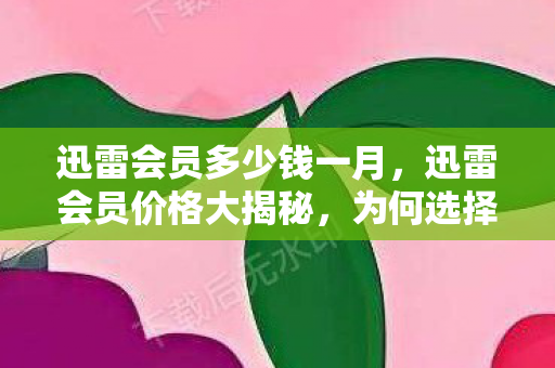 迅雷会员多少钱一月，迅雷会员价格大揭秘，为何选择官方渠道？