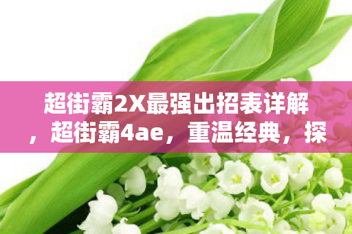 超街霸2X最强出招表详解，超街霸4ae，重温经典，探索格斗新境界