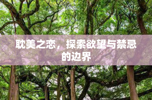 耽美之恋，探索欲望与禁忌的边界