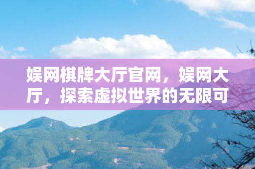 娱网棋牌大厅官网，娱网大厅，探索虚拟世界的无限可能