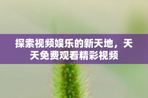 探索视频娱乐的新天地，天天免费观看精彩视频