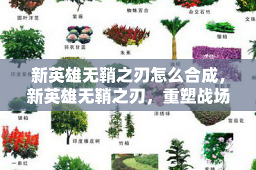新英雄无鞘之刃怎么合成，新英雄无鞘之刃，重塑战场格局的利刃