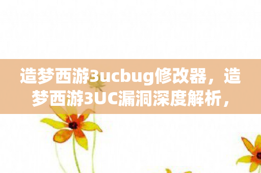 造梦西游3ucbug修改器，造梦西游3UC漏洞深度解析，游戏内外的挑战与应对
