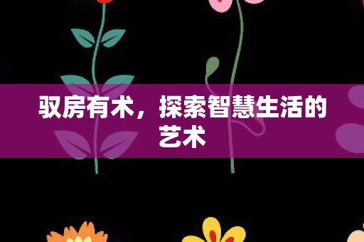 驭房有术，探索智慧生活的艺术