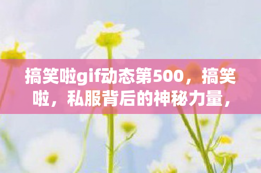 搞笑啦gif动态第500，搞笑啦，私服背后的神秘力量，你了解多少？
