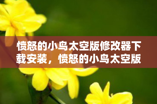 愤怒的小鸟太空版修改器下载安装，愤怒的小鸟太空版修改器，解锁无限可能的冒险之旅