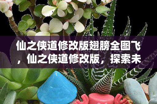 仙之侠道修改版翅膀全图飞，仙之侠道修改版，探索未知世界的奇妙之旅
