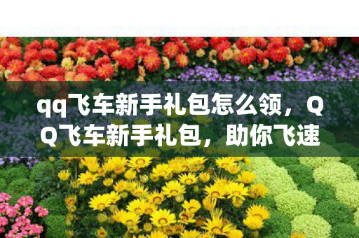 qq飞车新手礼包怎么领，QQ飞车新手礼包，助你飞速启程的必备神器