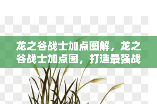 龙之谷战士加点图解，龙之谷战士加点图，打造最强战士的攻略